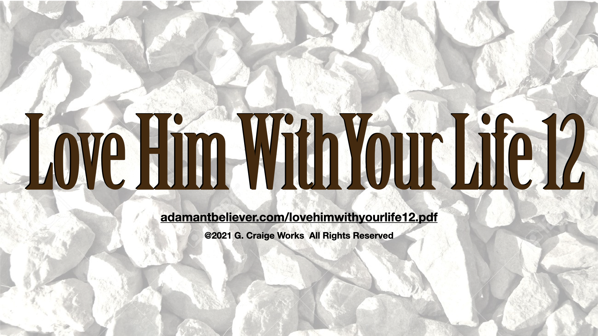 Love Him With Your Life 12.001