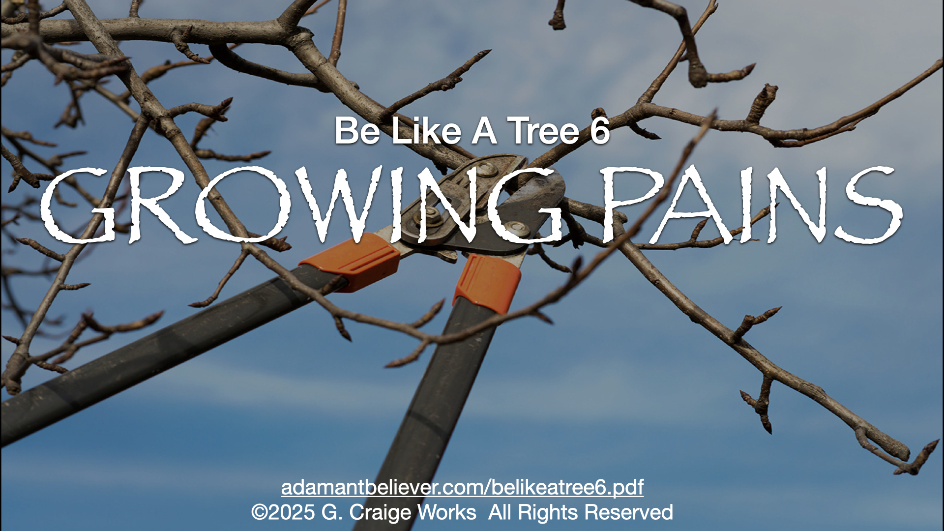 be like a tree 6.001